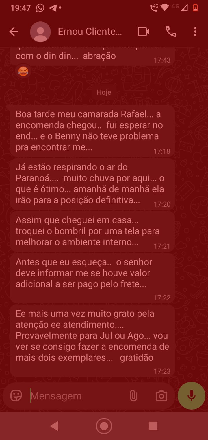 Depoimento Sr. Ernou